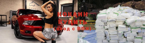 шишки Баксан