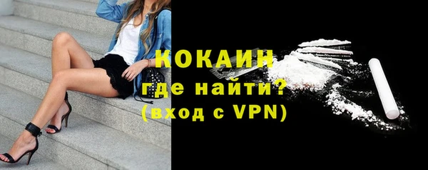 PSILOCYBIN Покров