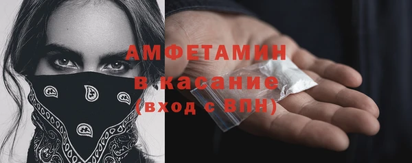 шишки Баксан