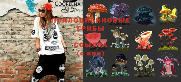 эйфоретик Балахна