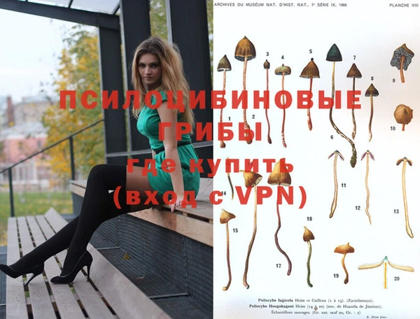 шишки Баксан