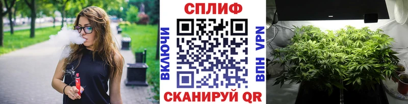 Конопля семена  Губкин 